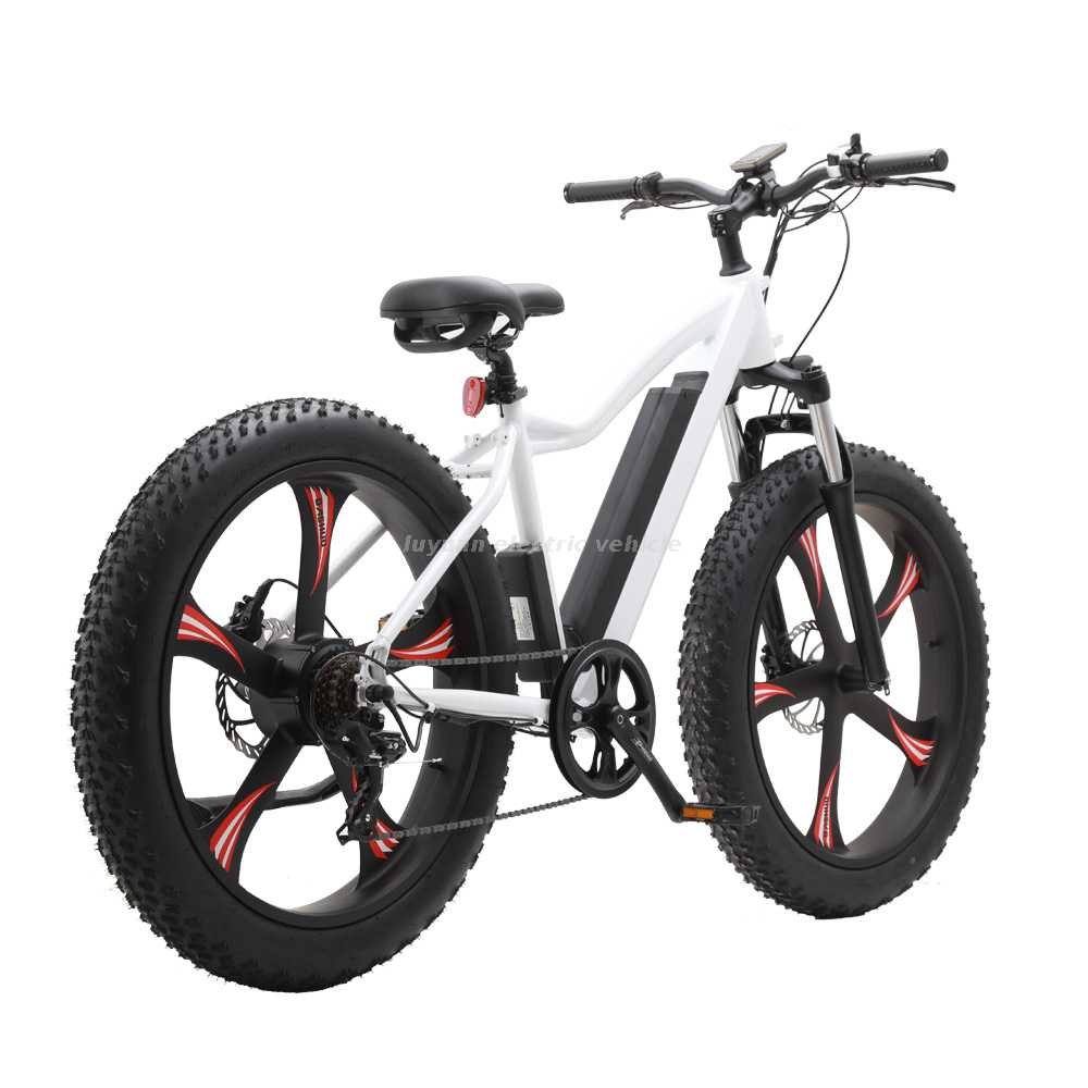 Ebicycle 32 km/h Neue geförderte Elektrofahrräder