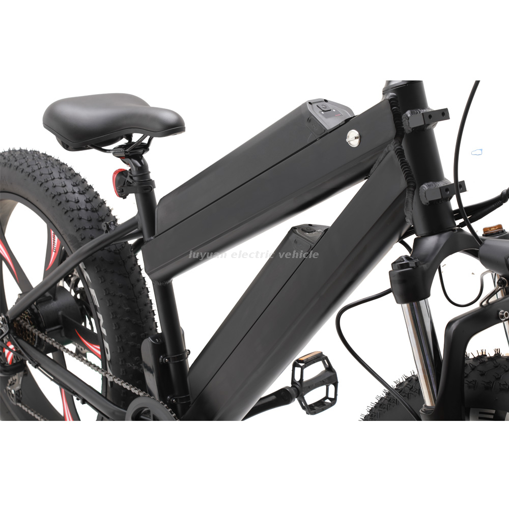 Elektrofahrrad EM 02WD
